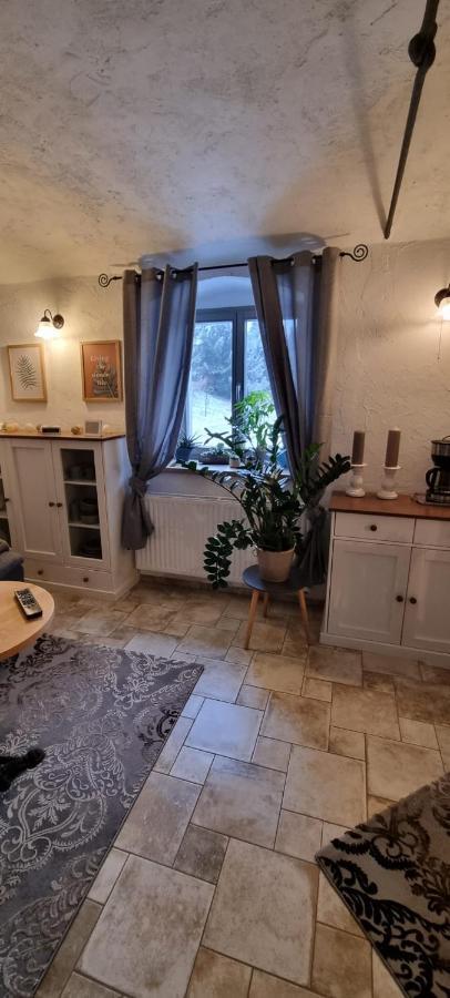 Monteur-Ferienwohnung Ot Naundorf Naundorf  Bagian luar foto