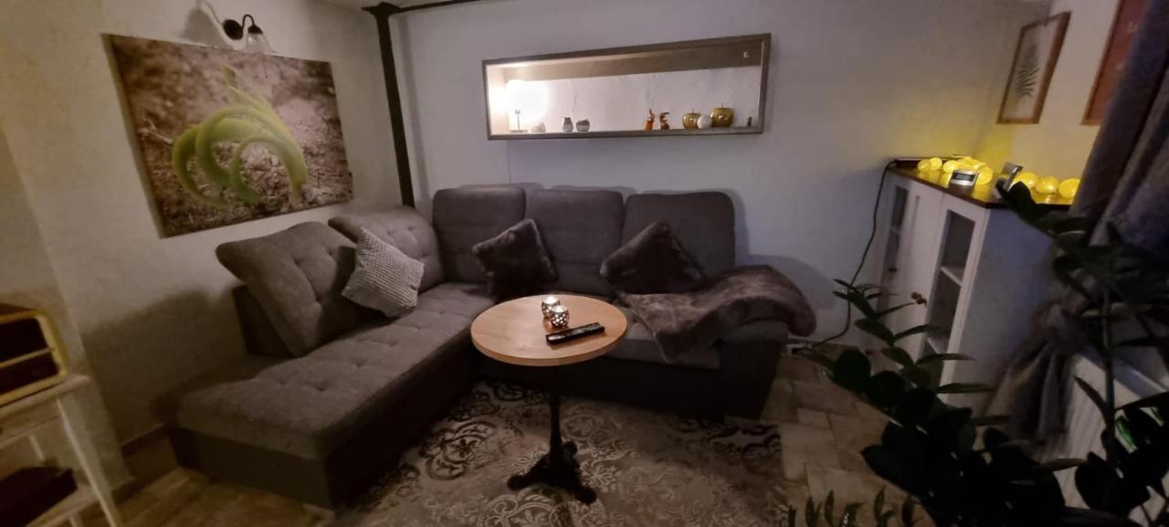 Monteur-Ferienwohnung Ot Naundorf Naundorf  Bagian luar foto