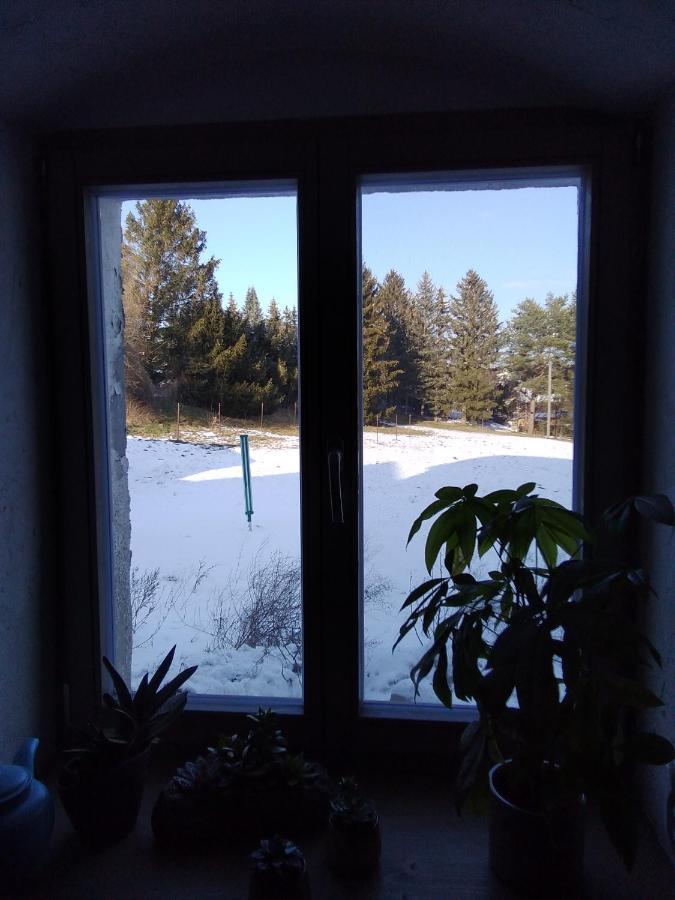 Monteur-Ferienwohnung Ot Naundorf Naundorf  Bagian luar foto